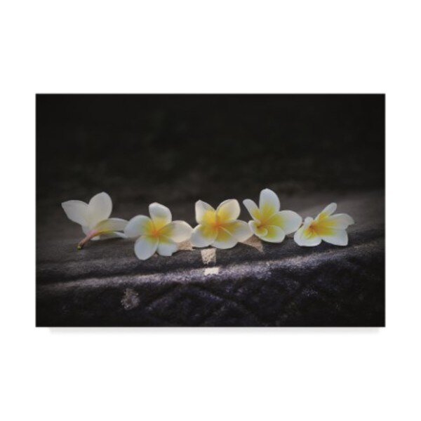 Christine Sainte-Laudy 'Flowers Of The Temples' Canvas Art, 16x24, Trademark Fine Art, Mfr#: CSL00135-C1624GG
